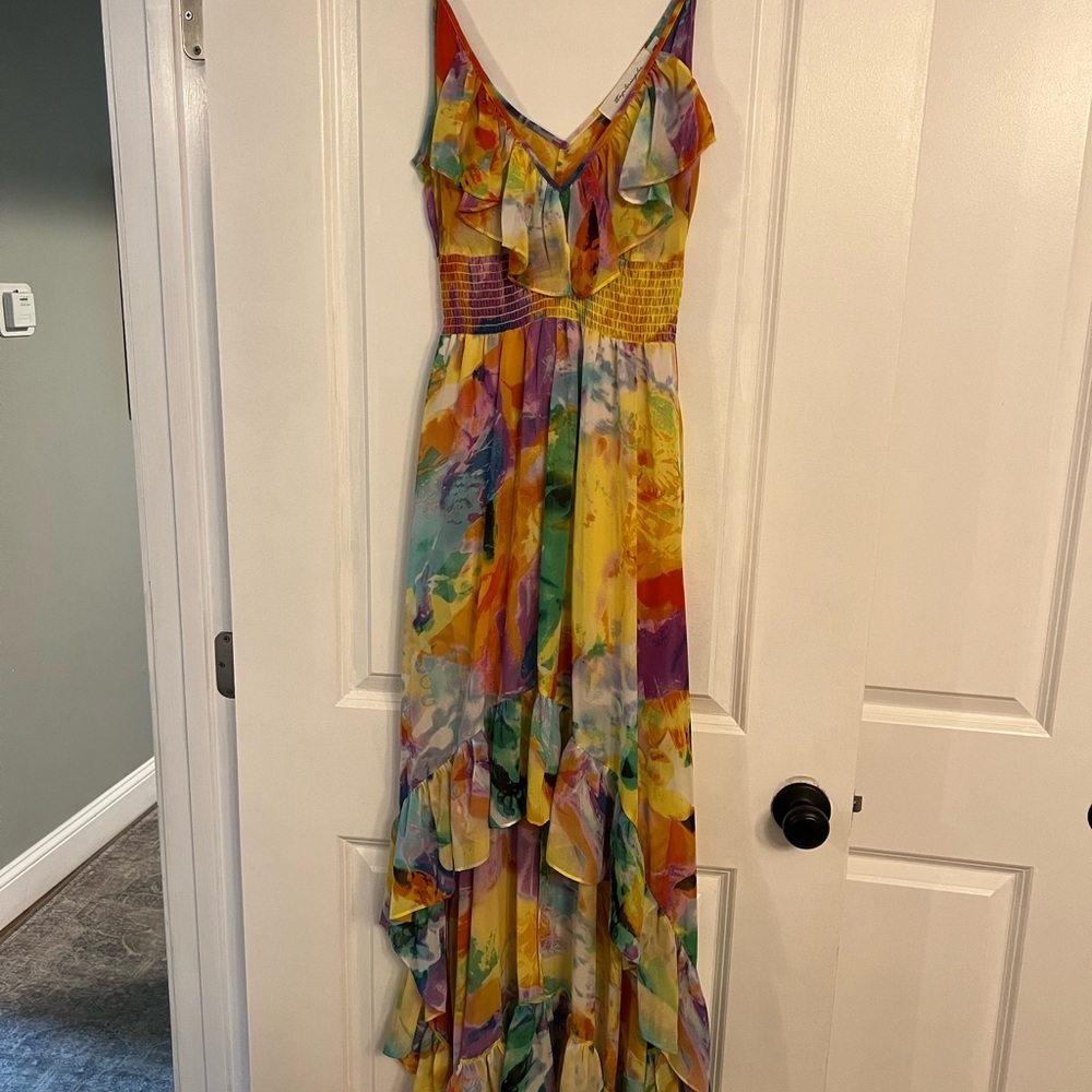 T Bags Los Angeles high low dress